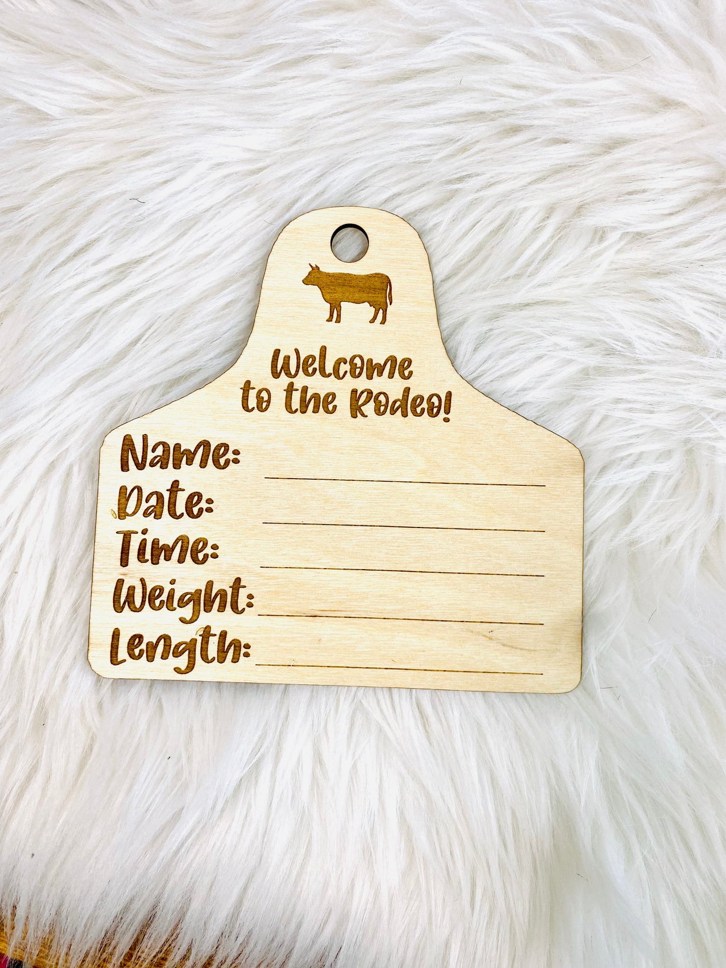 Welcome to the RODEO milestone and announcement